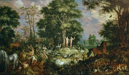 Jardin d
